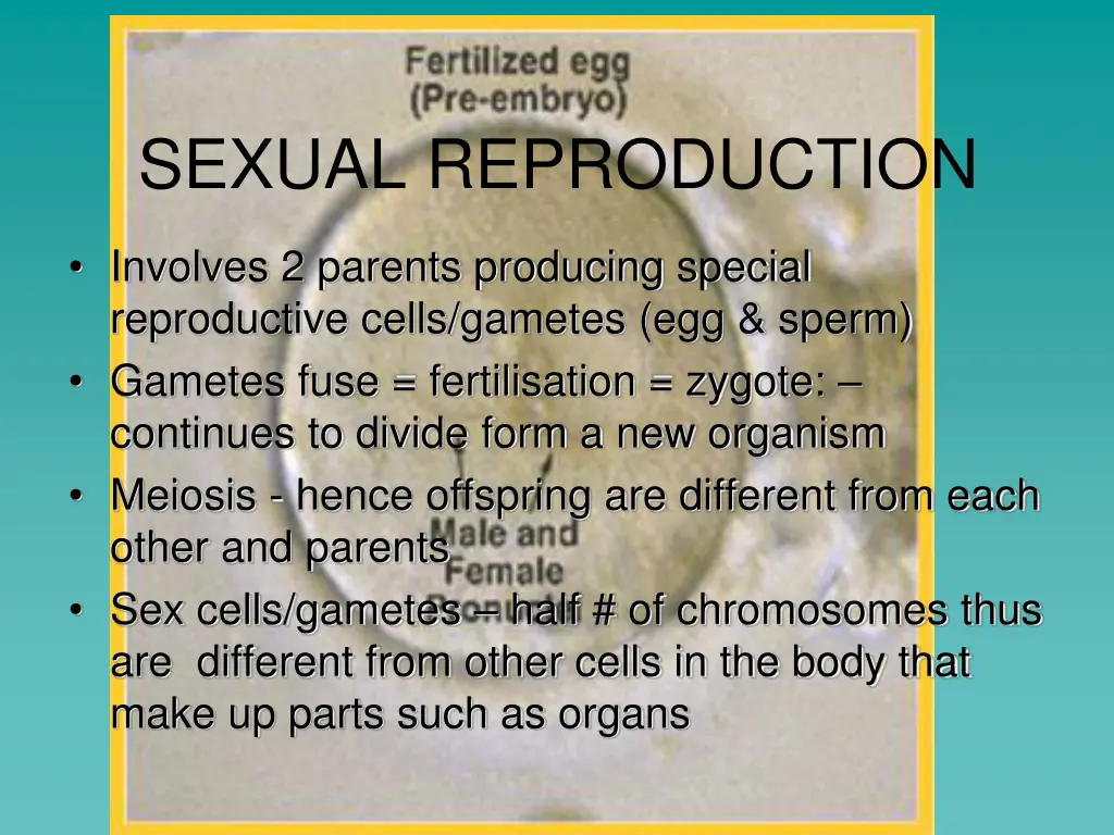 sexual reproduction