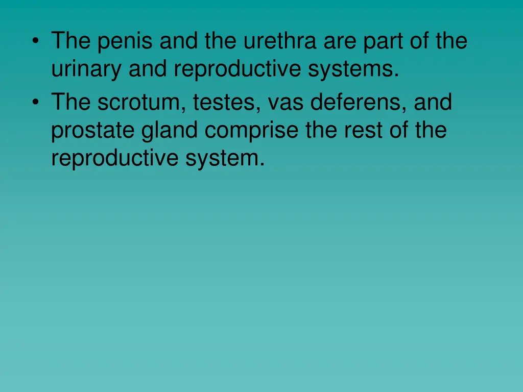 the penis and the urethra are part of the urinary