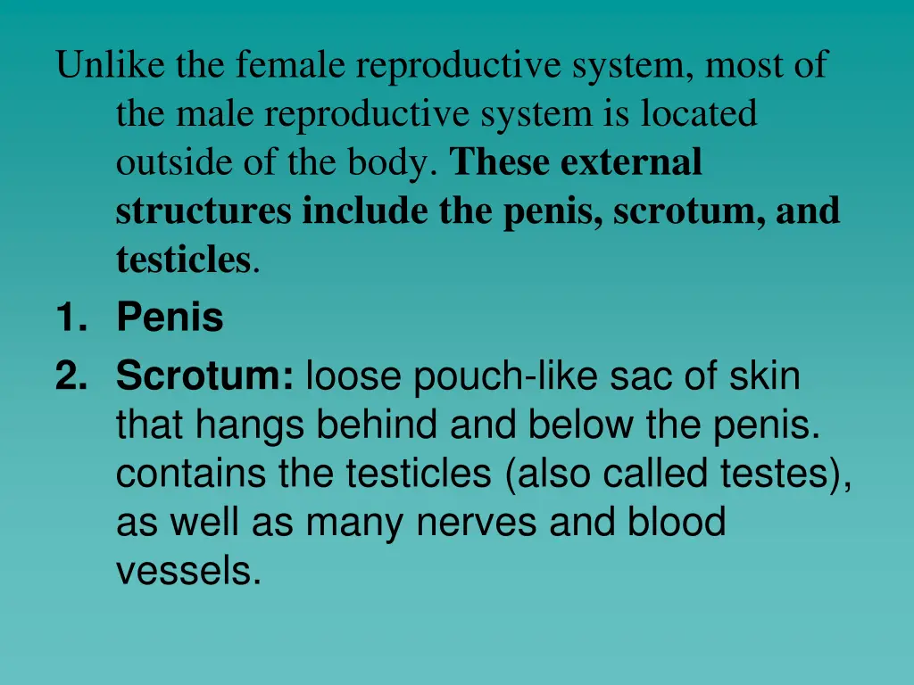 unlike the female reproductive system most