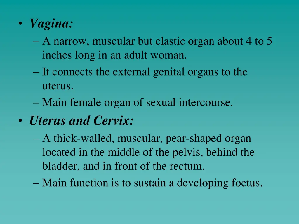 vagina a narrow muscular but elastic organ about