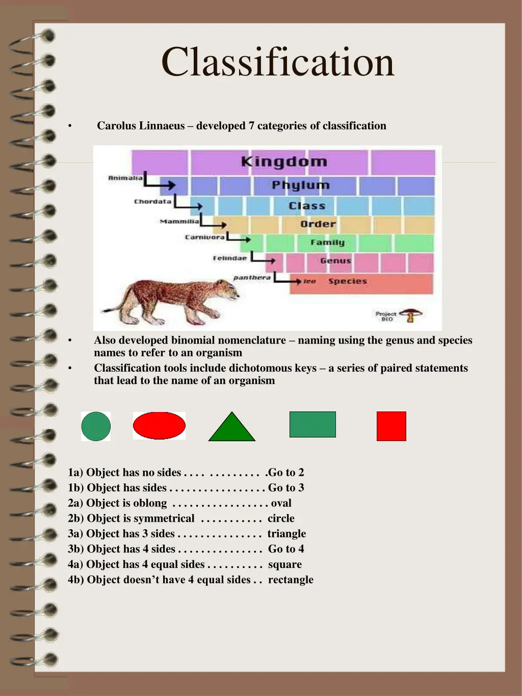 classification