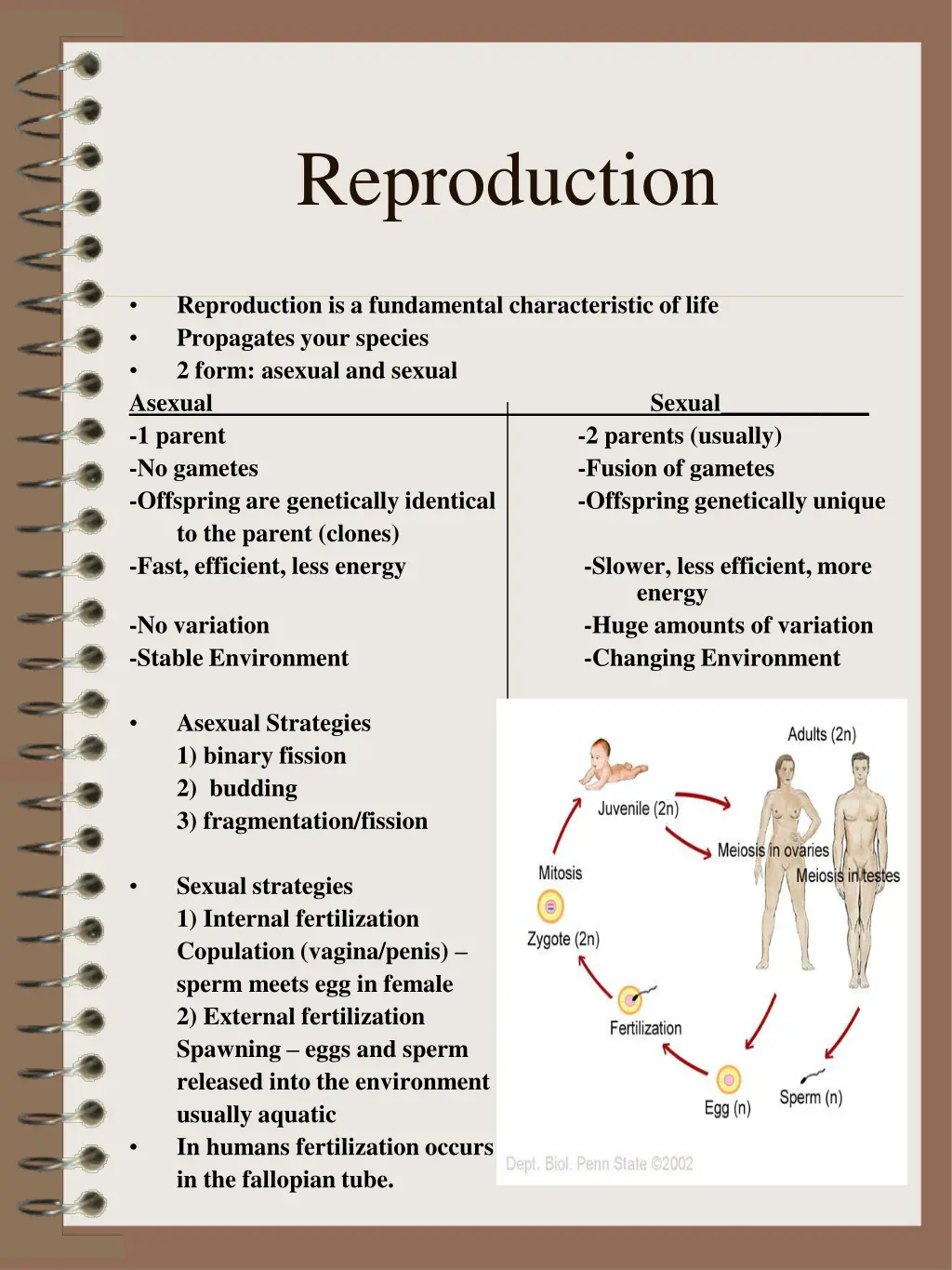 reproduction