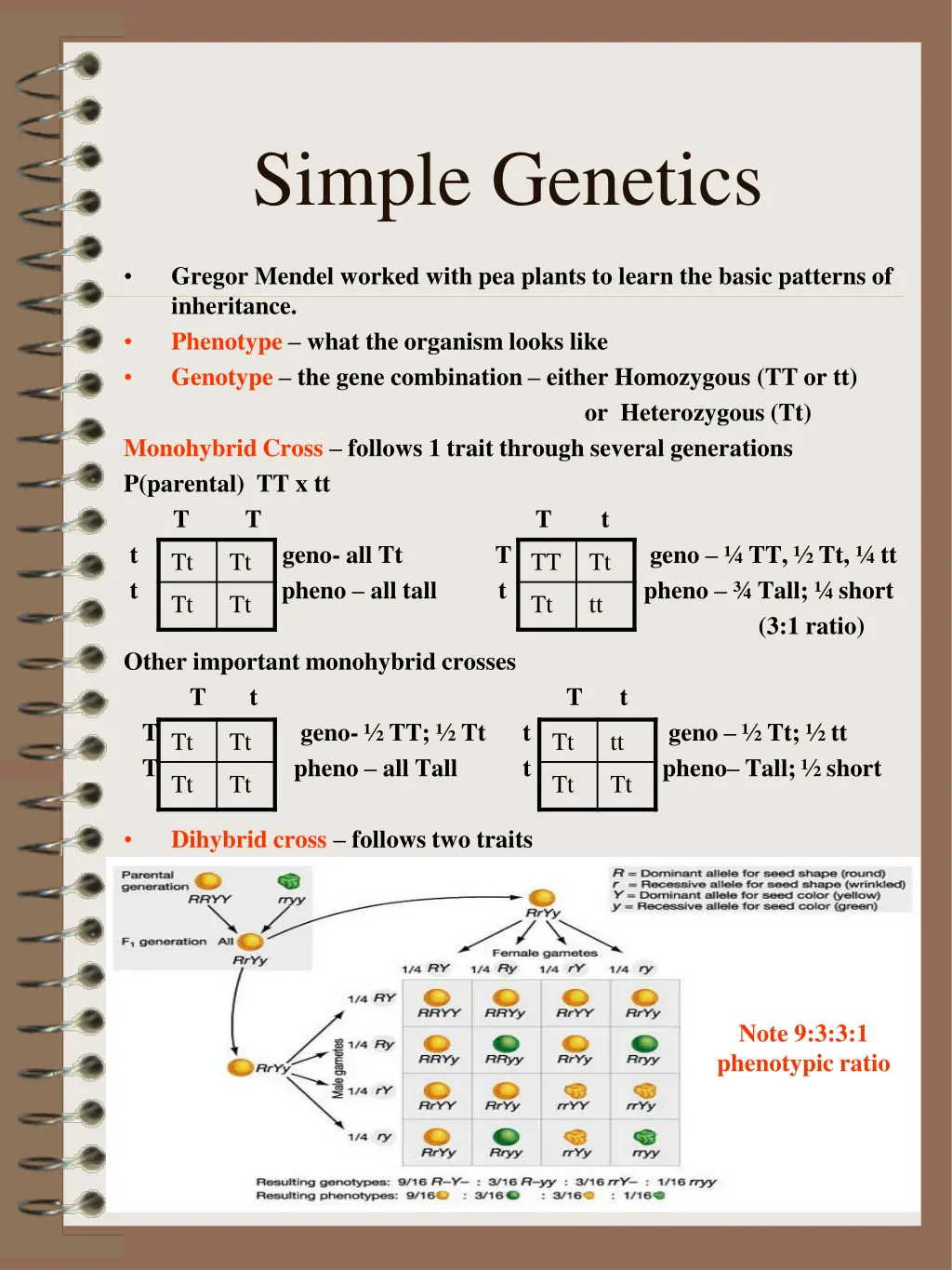 simple genetics