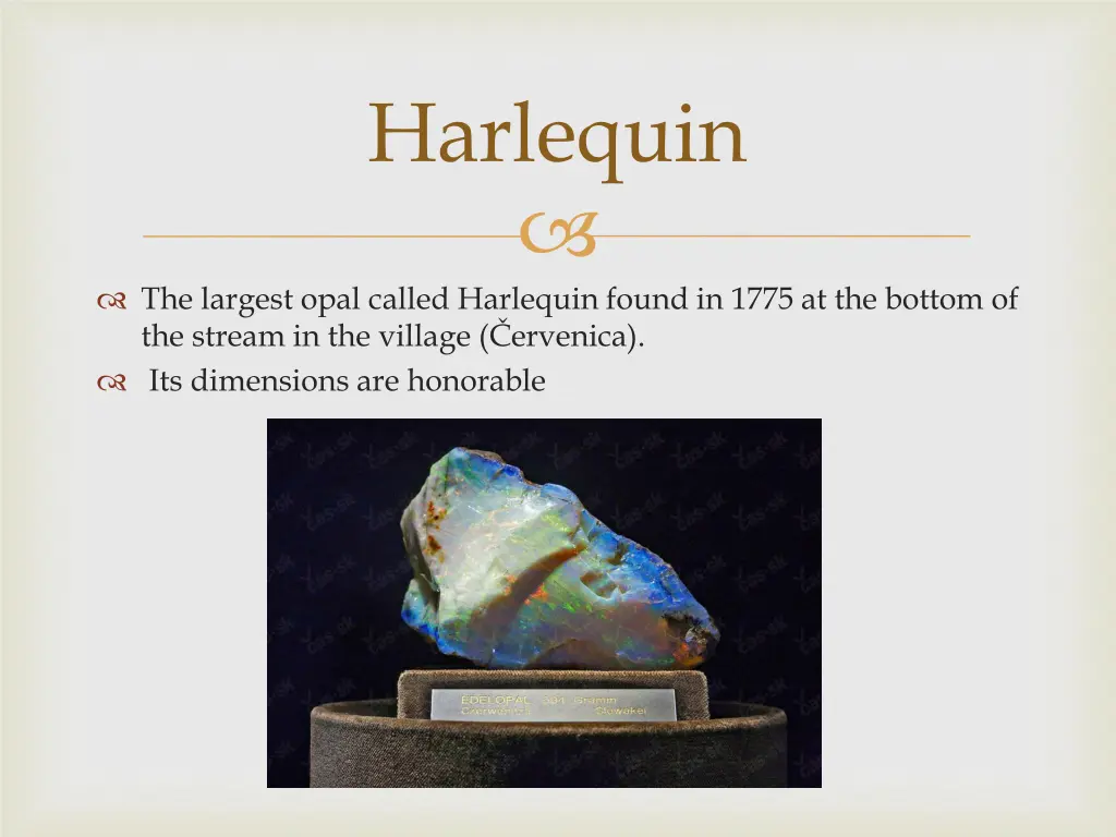 harlequin