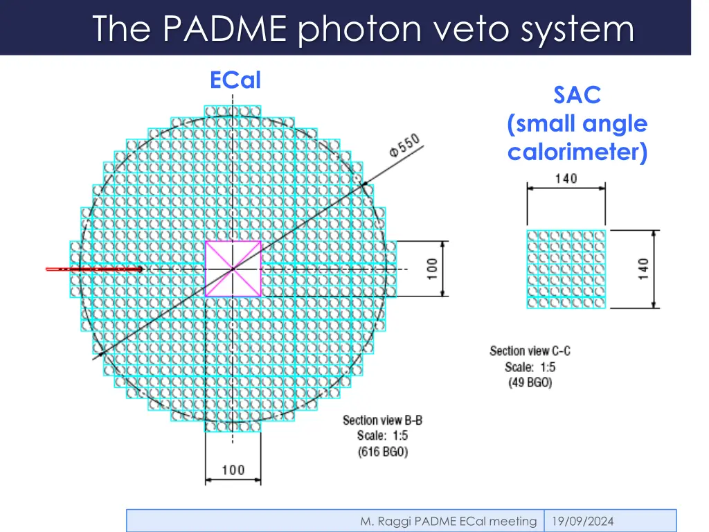 the padme photon veto system