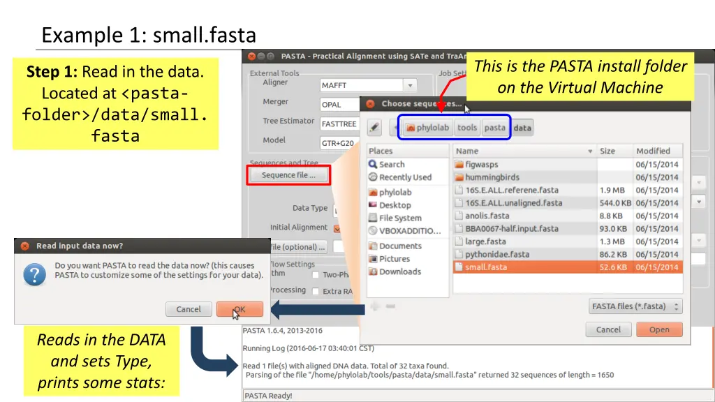 example 1 small fasta