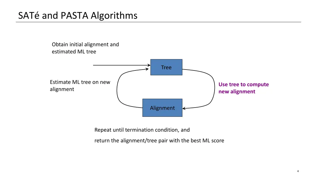 sat and pasta algorithms