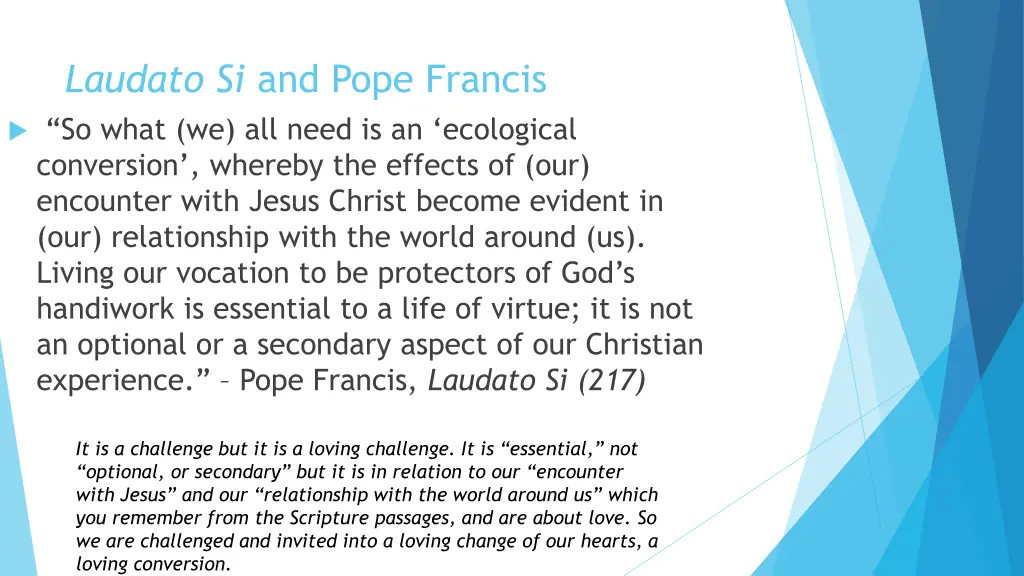 laudato si and pope francis so what we all need