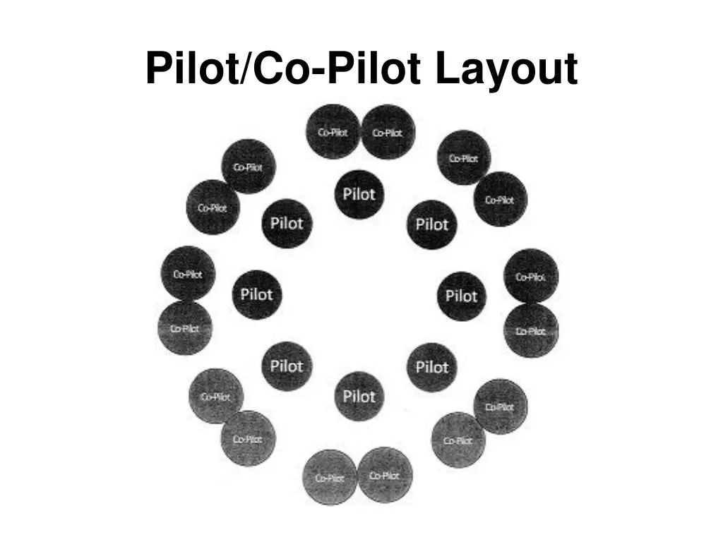 pilot co pilot layout