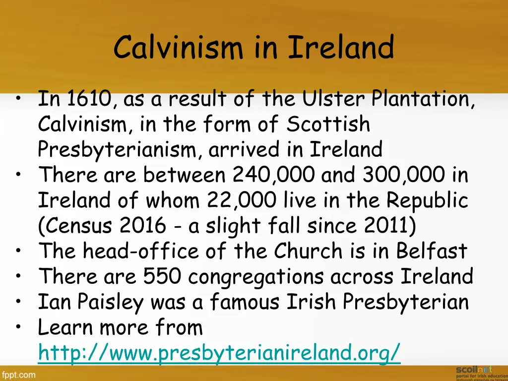 calvinism in ireland