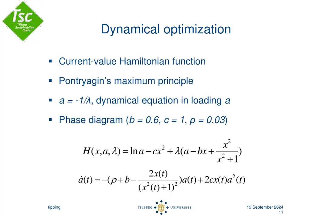 dynamical optimization