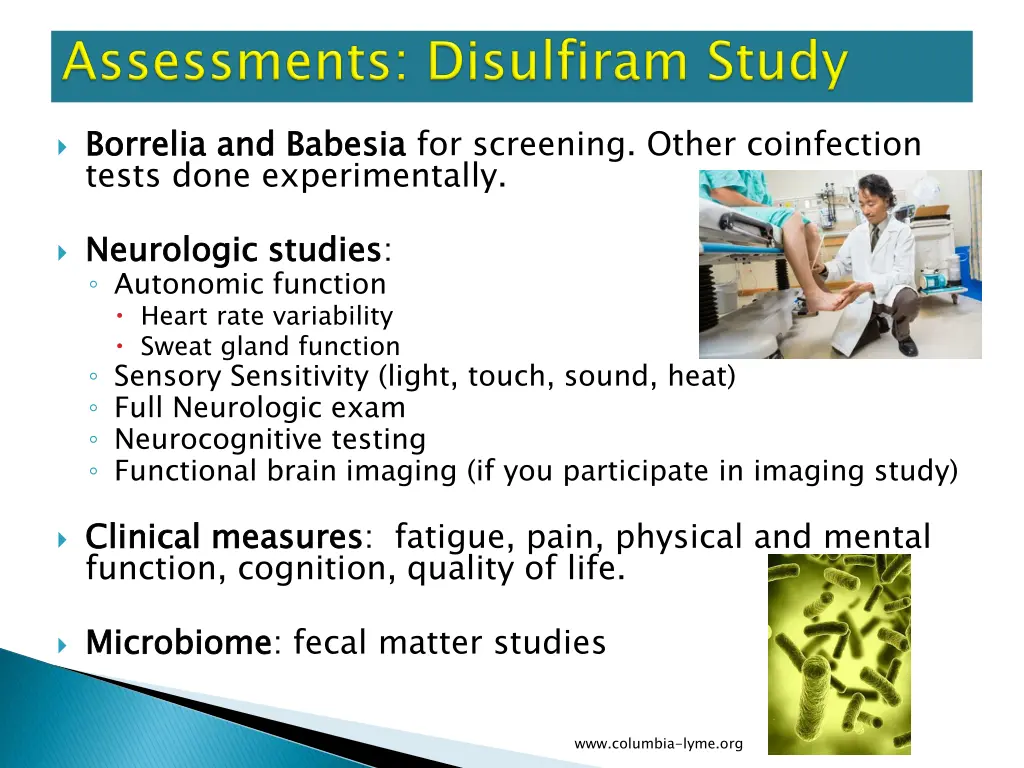 borrelia tests done experimentally