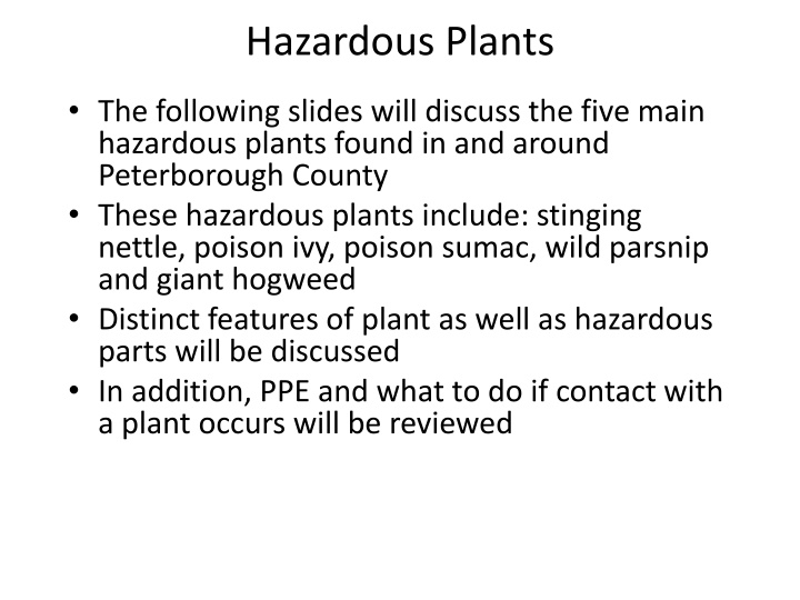 hazardous plants