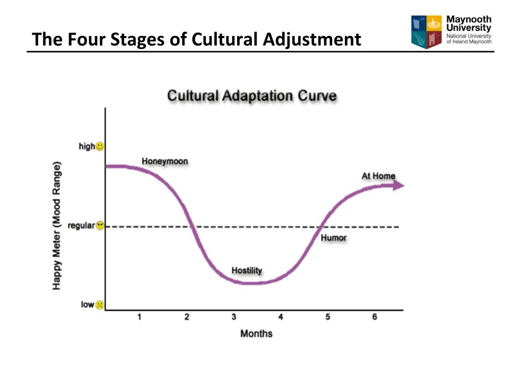 the four stages of cultural adjustment