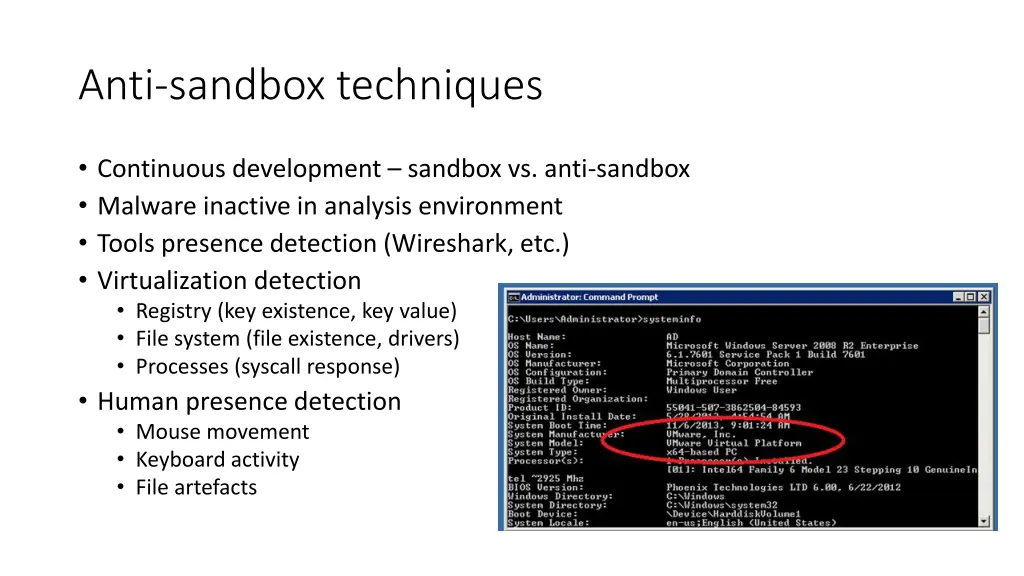 anti sandbox techniques