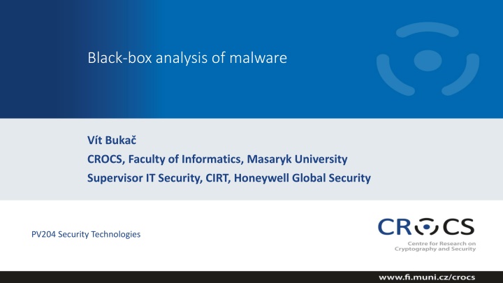 black box analysis of malware