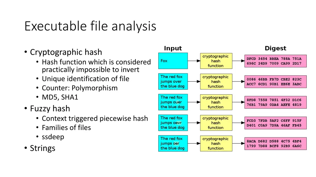 executable file analysis