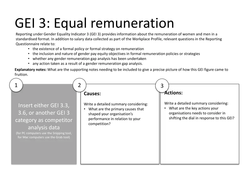 gei 3 equal remuneration reporting under gender