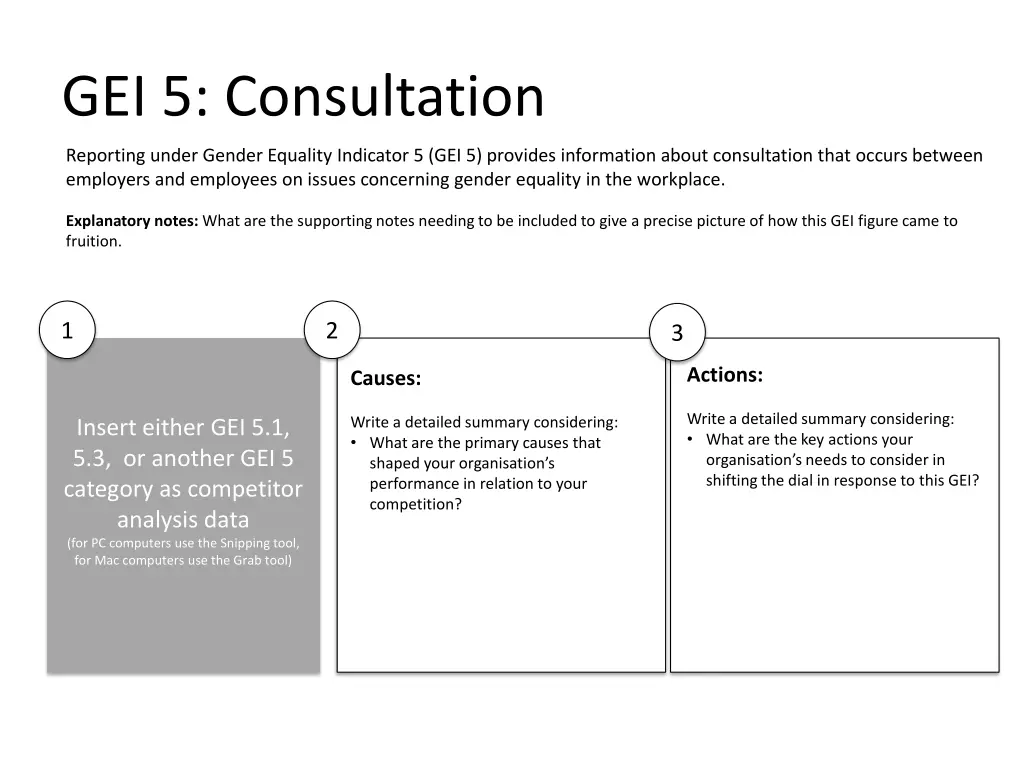 gei 5 consultation