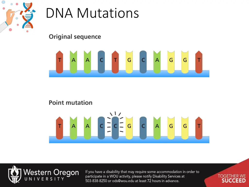 dna mutations