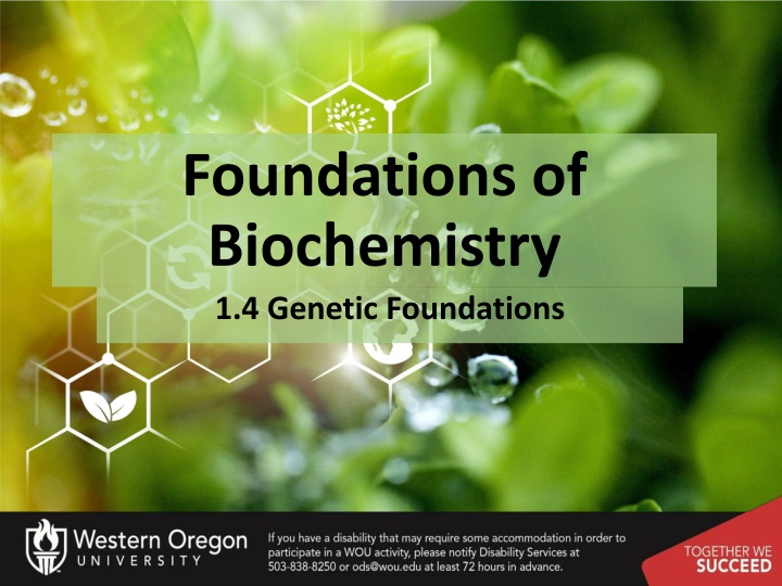 foundations of biochemistry 1 4 genetic