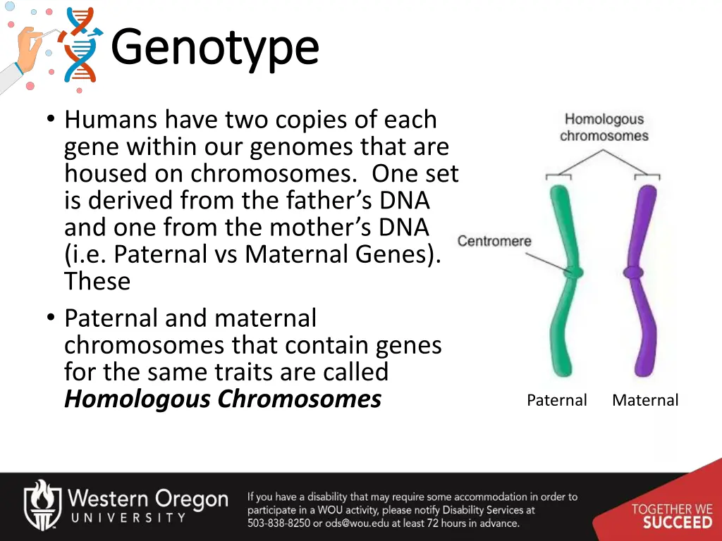 genotype genotype