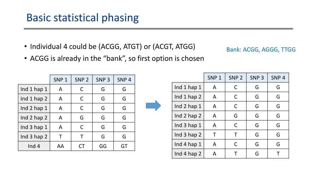 basic statistical phasing 2