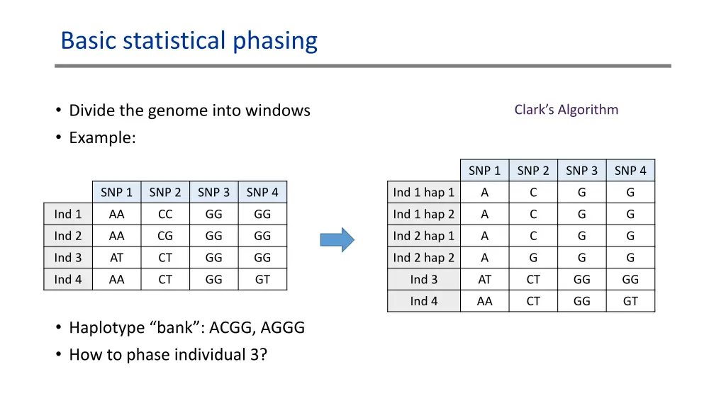 basic statistical phasing