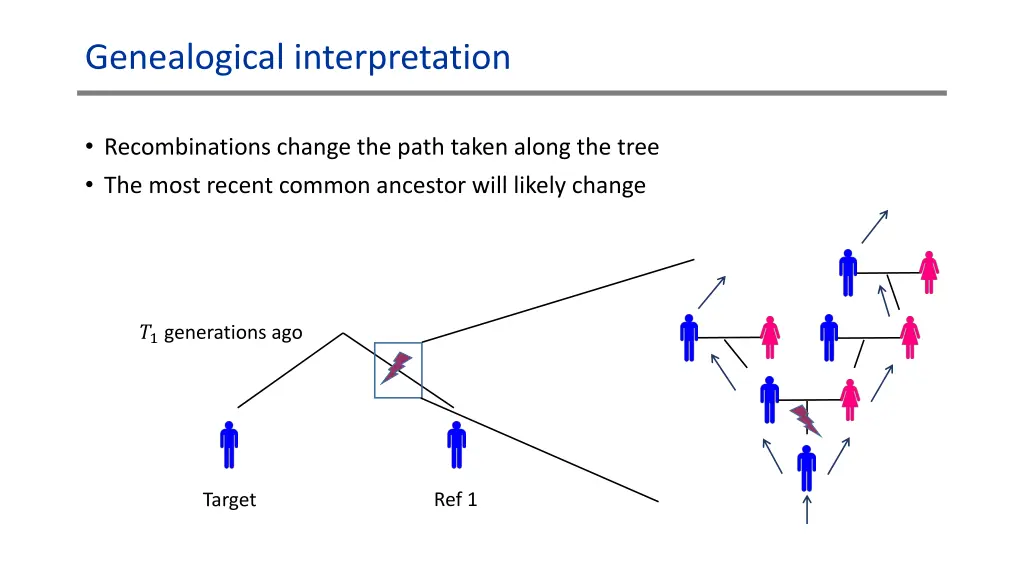 genealogical interpretation 1