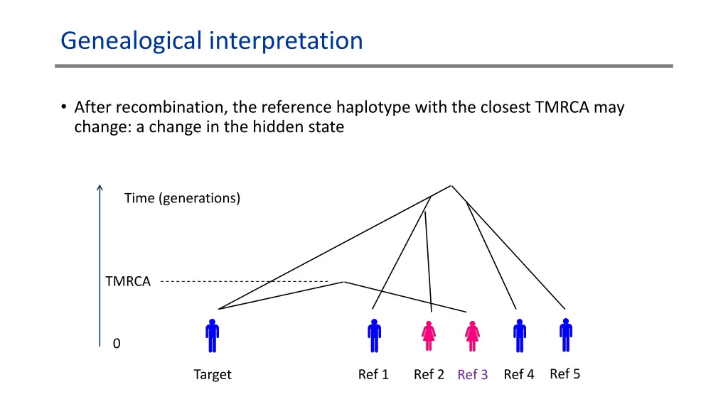 genealogical interpretation 2