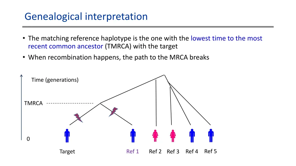 genealogical interpretation