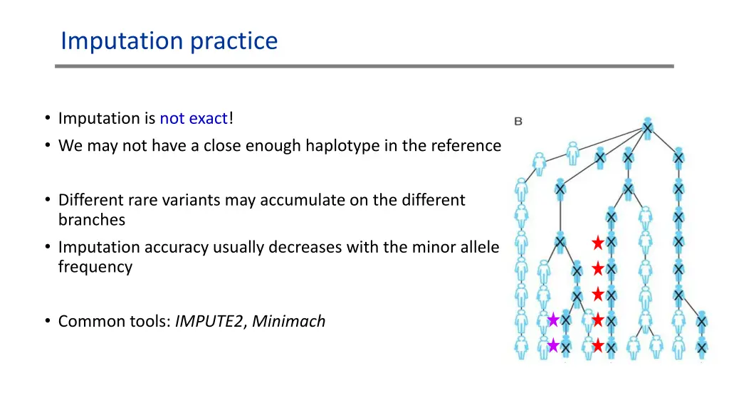 imputation practice