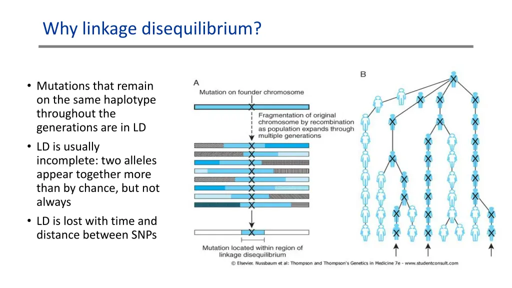 why linkage disequilibrium