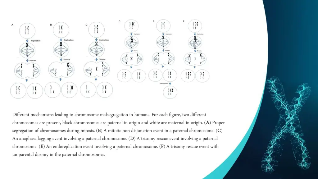 different mechanisms leading to chromosome