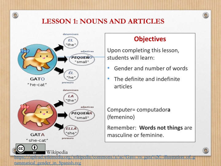 lesson 1 nouns and articles