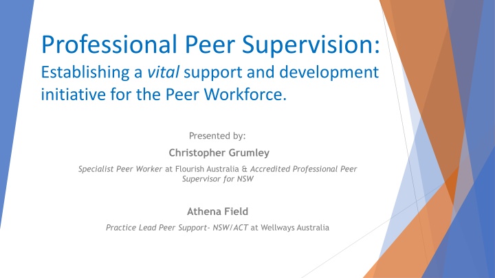 professional peer supervision establishing