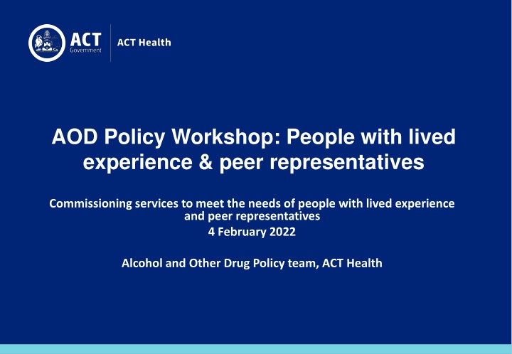 aod policy workshop people with lived experience