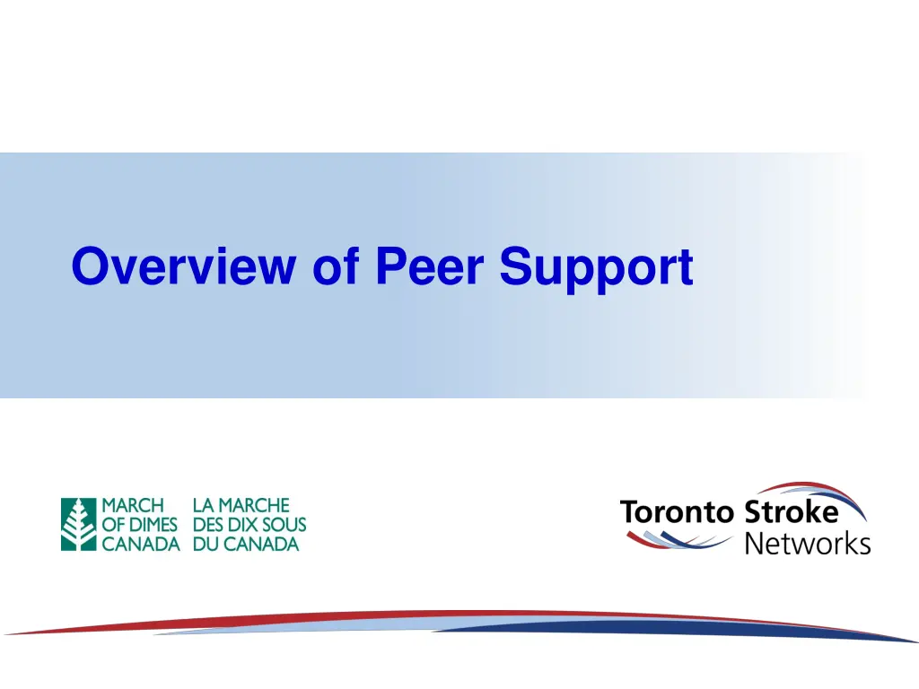 overview of peer support