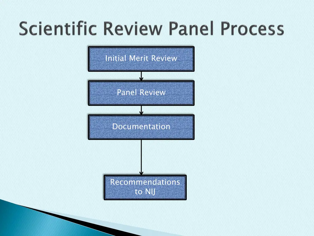 initial merit review