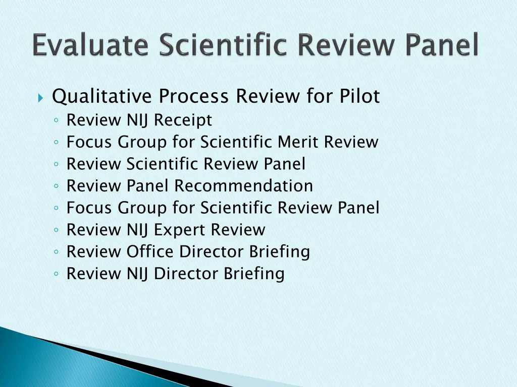 qualitative process review for pilot review