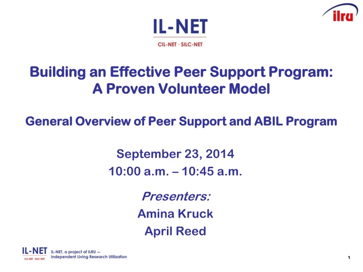 building an effective peer support program