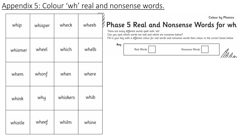 appendix 5 colour wh real and nonsense words