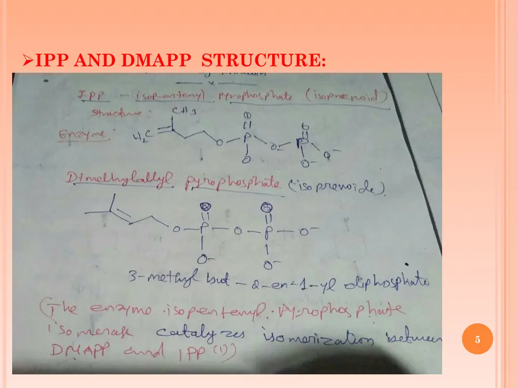 ipp and dmapp structure