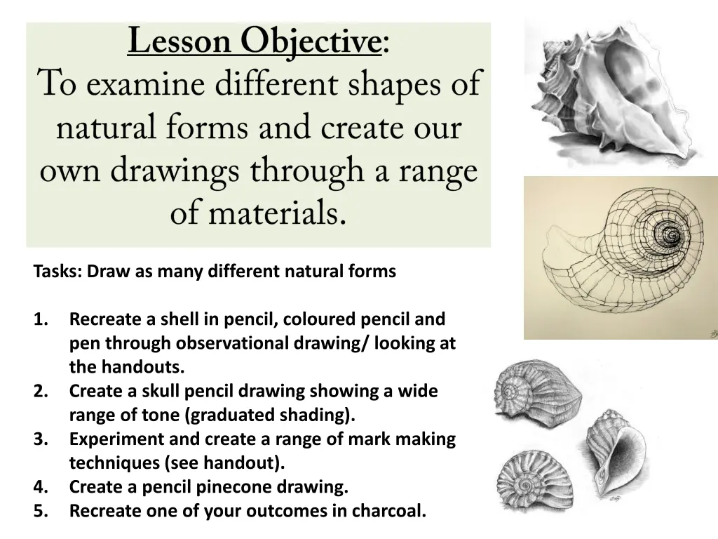 tasks draw as many different natural forms