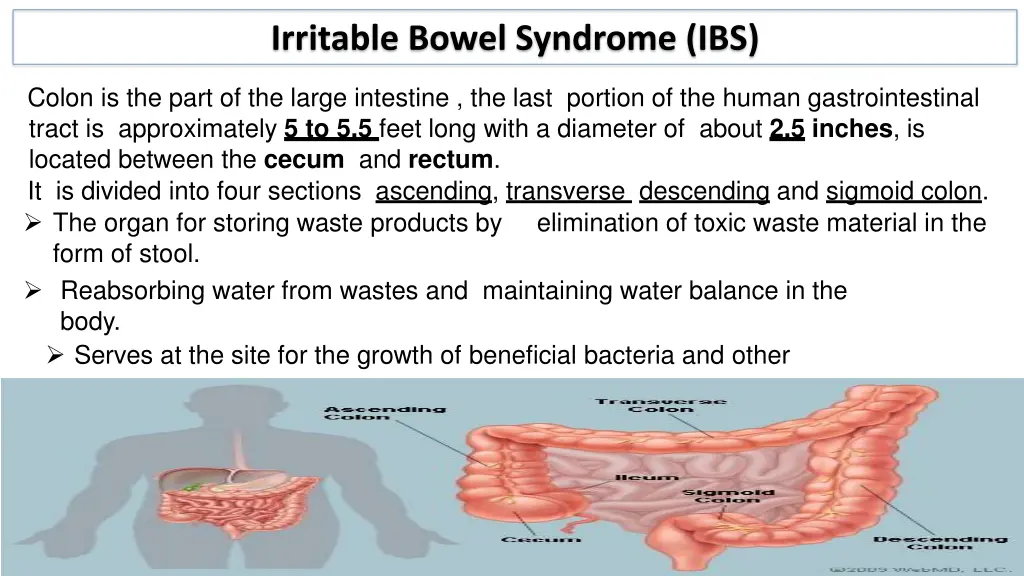 irritable bowel syndrome ibs