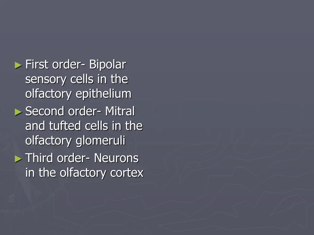 first order bipolar sensory cells