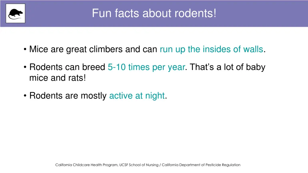 fun facts about rodents