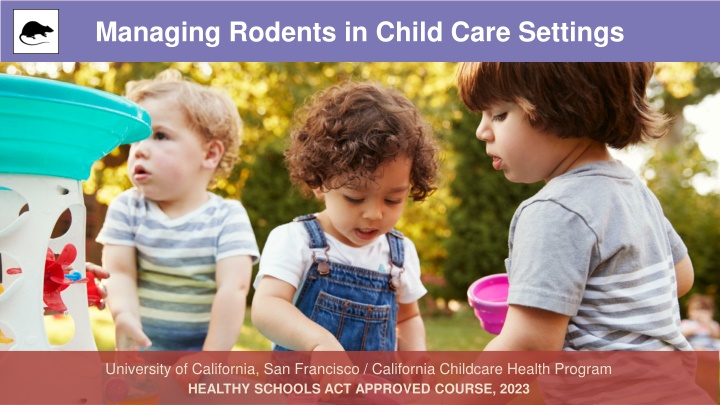 managing rodents in child care settings