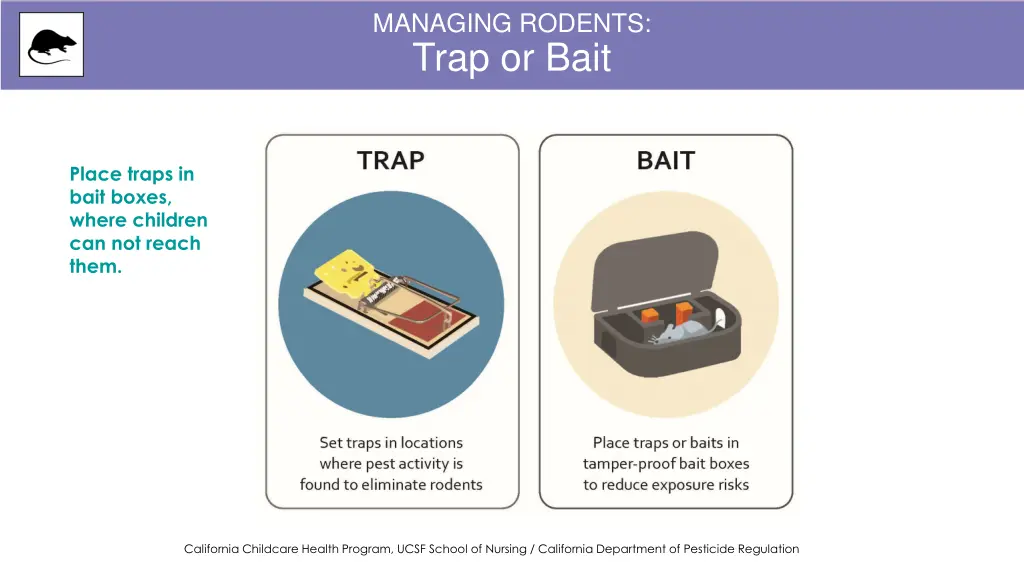 managing rodents trap or bait