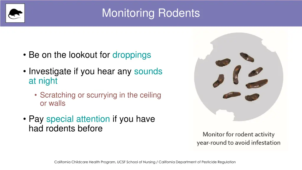 monitoring rodents